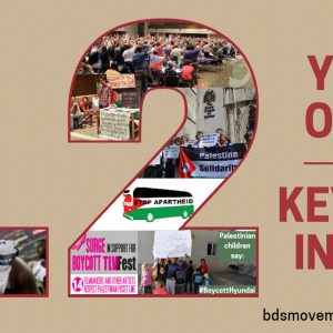 BDS Movement Turns 12