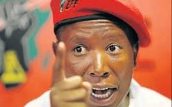 Julius Malema