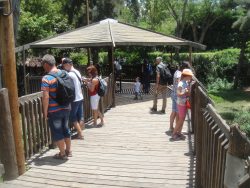 Safari Ramat Gan - Israel