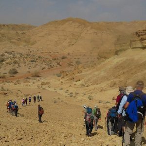 A portion of the 40-odd Israelis who hiked from Petra to Avdat along the ancient Incense Route, February 2018. (courtesy)