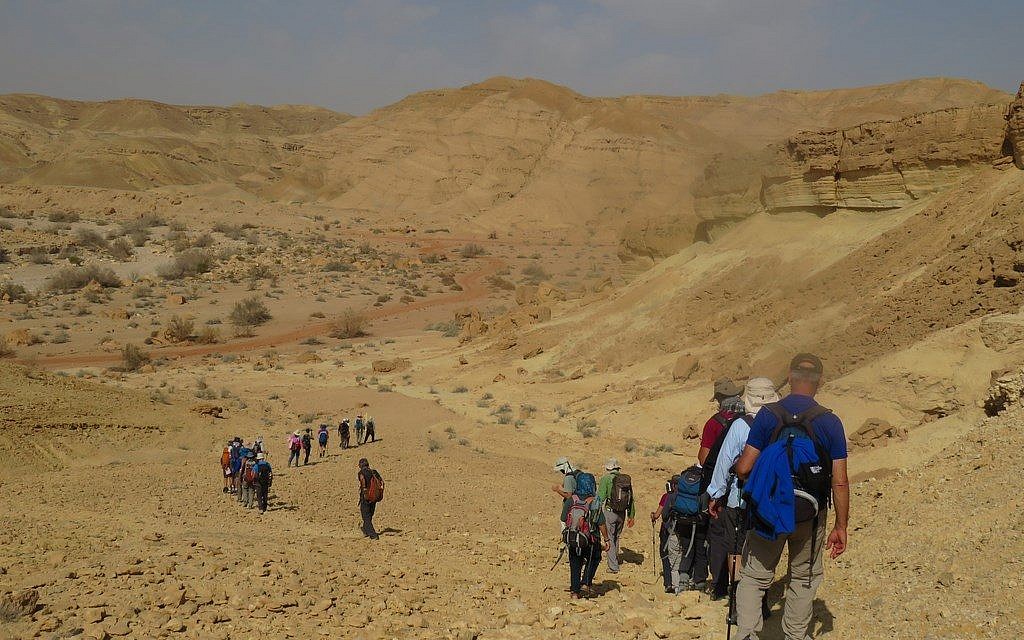 A portion of the 40-odd Israelis who hiked from Petra to Avdat along the ancient Incense Route, February 2018. (courtesy)