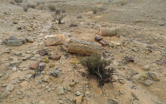 Roman milestones found along newly discovered section of the Incense Route-Feb 2018