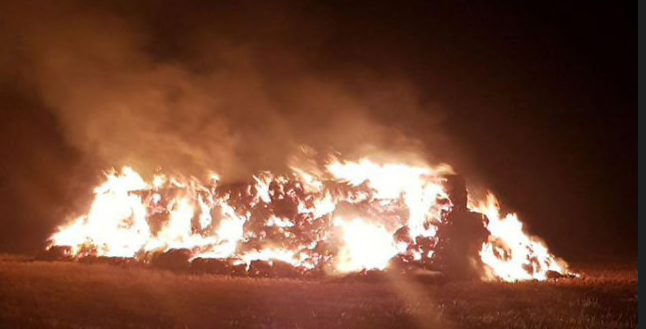 Fire Consumes Crops in Kibbutz Afikim photo Emek HaYarden Regional Council