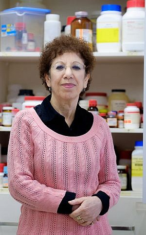 Ben-Gurion University of the Negev’s Prof. Varda Shoshan-Barmatz (Courtesy)