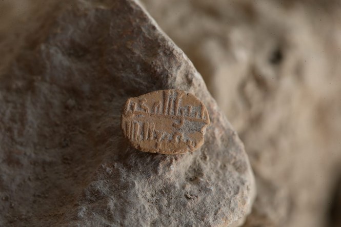 The tiny, 1cm across, amulet. 