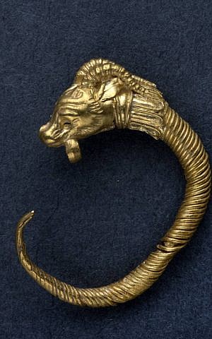 The gold Hellenistic-era earring unearthed in the City of David’s Givati Parking Lot excavations belonged to an upper class man or woman in Jerusalem. (Clara Amit, Israel Antiquities Authority)