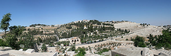 The Mount of Olives, July 2009/ (wikipedia)